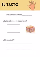 Vista previa - Hojas de trabajo - Los cinco sentidos - página 2