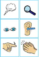 Vorschau - Bildkarten - Arbeitsaufträge visualisieren - Erweiterung Kommunikation - Seite 1