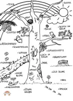 Vorschau - Spiele - Such- und Ausmalbild "Naturentdecker" - Deckblatt