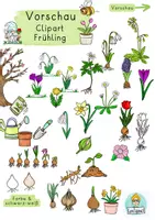 Vorschau - selbst erstellte Cliparts/Grafiken - Clipart, Grafiken Frühling, Frühblüher Cliparts (Unterrichtsmaterial) - Seite 1