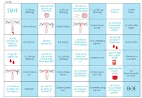 Vorschau - Spiele - Menstruationszyklus - Domino Spiel - Seite 2