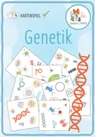 Vorschau - Spiele - Genetik - "Wer sieht es zuerst?" schnelles Kartenspiel - Deckblatt