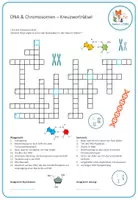 Vorschau - Arbeitsblätter - Genetik: DNA & Chromosomen– Kreuzworträtsel - Seite 1