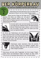 Vorschau - Stationenlernen - Fledermaus, Stationenarbeit für Klasse 5 u. 6 - Seite 2