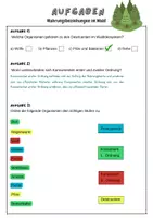 Vorschau - Stundenentwürfe - Materialpaket Wald | 4 Stunden Ökologische Nische, Stockwerke des Waldes | 7. Klasse - Seite 3