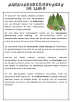Vorschau - Arbeitsblätter - Nahrungsbeziehungen im Wald | Unterrichtsreihe Ökosystem - Seite 3