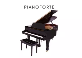 anteprima - Flashcard - Il Carnevale degli animali_schede strumenti musicali - Pagina 1