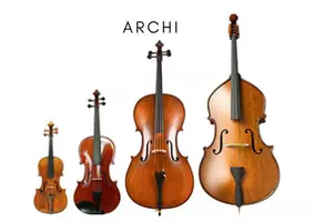 anteprima - Flashcard - Il Carnevale degli animali_schede strumenti musicali - Pagina 3