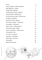 Vorschau - Arbeitsblätter - Lapbook Vögel (1. - 2. Klasse) - Seite 3
