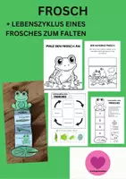 Vorschau - Arbeitsblätter - Frosch Lebenszyklus - Interaktives Faltbuch - Deckblatt