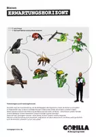 Vorschau - Arbeitsblätter - Arbeitsblatt *Bienen - Top-Player im Ökosystem* - Seite 2