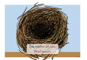 Vorschau - Unterrichtsreihen - Vögel: Vorwissenserhebung - Seite 3