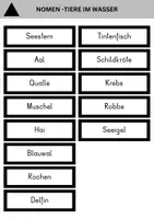 Vorschau - Fördermaterial/Inklusion - Nomen nach Montessori - Seite 3