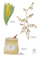 Vorschau - selbst erstellte Cliparts/Grafiken - AquarellPaket "Getreide" - Deckblatt