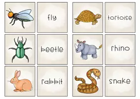 Vista previa - Juegos / Gamificación - Animals FIND THE PAIR GAME - página 3