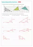Vorschau - Arbeitsblätter - Dreiecke beschriften Satz des Pythagoras Geometrie Mathematik Bayern Mittelschule - Seite 3