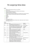 Vorschau - Stundenentwürfe - die Neugierige kleine Hexe; Interaktives Erleben eines Bilderbuches - Seite 1