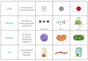 Vorschau - Spiele - Organisationsstufen – 4x Aktivitäten und Spiele - Seite 2
