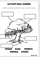 anteprima - Esercizi - Scienze - Pagina 3