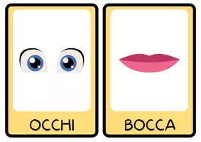 anteprima - Flashcard - Flashcard: Parti del corpo + Scala del dolore - Pagina 2