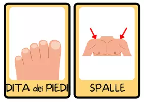 anteprima - Flashcard - Flashcard: Parti del corpo + Scala del dolore - Pagina 3