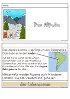 Vorschau - Arbeitsblätter - Das Alpaka - Flipbook und Arbeitsblätter - Seite 1