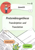 Vorschau - Arbeitsblätter - Proteinbiosynthese - Transkription & Translation / Genetik - AB & Lösungen - Deckblatt
