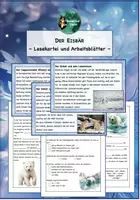 Vorschau - Arbeitsblätter - Eisbär Lesekartei und Arbeitsblätter, lesen, Leseverstehen, Lesekarten - Deckblatt