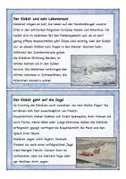 Vorschau - Arbeitsblätter - Eisbär Lesekartei und Arbeitsblätter, lesen, Leseverstehen, Lesekarten - Seite 2