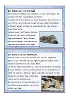 Vorschau - Arbeitsblätter - Eisbär Lesekartei und Arbeitsblätter, lesen, Leseverstehen, Lesekarten - Seite 3