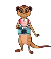 Vorschau - selbst erstellte Cliparts/Grafiken - 10 Erdmännchen Clipart Set - Erdmännchen Illustration (Tiere Cliparts) - Seite 3