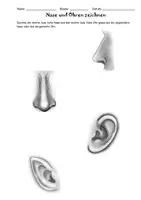 Vorschau - Arbeitsblätter - Portrait: Nasen und Ohren zeichnen (1. Schritte) - Seite 2