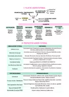 Vista previa - Para docentes: organización, planificación y formación - Opoesquema TEMA 3 (Magisterio Primaria CVA) - página 3