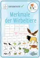 Vorschau - Spiele - Merkmale der Wirbeltiere - Zurodnungsaktivität - Deckblatt