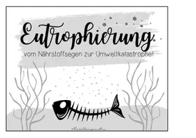 Vorschau - Arbeitsblätter - Eutrophierung - vom Nährstoffsegen zur Umweltkatastrophe - Seite 1