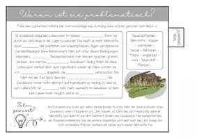 Vorschau - Arbeitsblätter - Eutrophierung - vom Nährstoffsegen zur Umweltkatastrophe - Seite 3