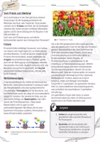 Vorschau - Arbeitsblätter - Vom Protein zum Merkmal / Genetik - AB & Lösungen - Seite 1