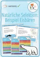 Vorschau - Spiele - Natürliche Selektion (Eisbären) - Kartenspiel - Deckblatt