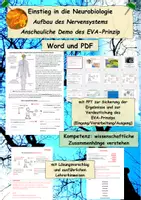 Vorschau - Arbeitsblätter - Einstieg Neurobiologie: Ball fangen und werfen - Deckblatt