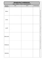 Vorschau - Arbeitsblätter - Übungsblatt zu Baumart / Frucht / Verbreitung - Seite 1