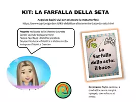 anteprima - Flashcard - La farfalla della seta: il baco - Pagina di copertina