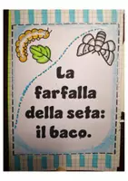 anteprima - Flashcard - La farfalla della seta: il baco - Pagina 1