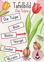 Vorschau - Stundenentwürfe - Materialpaket: Die Frühblüher - Seite 1