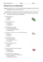 Vorschau - Test - PDF und Interactive: Zellorganellen multiple choice test - Seite 1