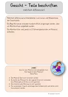 Vorschau - Arbeitsblätter - Gesicht - Teile beschriften - differenziert - Seite 1
