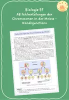 Vorschau - Arbeitsblätter - Fehlverteilungen der Chromosomen in der Meiose - Nondisjunctions - Deckblatt