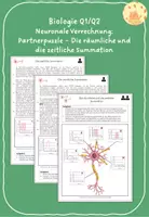 Vorschau - Arbeitsblätter - Partnerpuzzle - Die räumliche und die zeitliche Summation - Deckblatt
