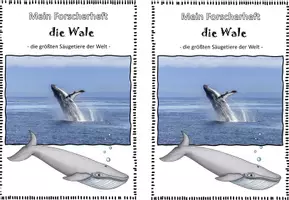 Vorschau - Unterrichtsreihen - Wirbeltiere I Forscherheft I Wal I Säugetier - Seite 3