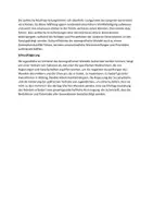 Vorschau - Arbeitsblätter - Sind wir Jugendlichen die Verlierer des demografischen Wandels? - Seite 2