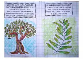 anteprima - Materiale per pittura e bricolage - Kit: L'olio d'oliva - Pagina 1